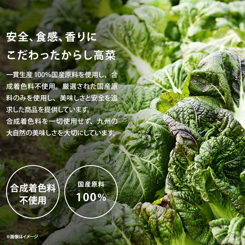 ピリ辛 辛子高菜 九州 からし高菜 旨辛 高菜 国産 (150g/袋) お試しセット おつまみ おかず ご飯のお供 漬け物 九州・福岡県 お土産