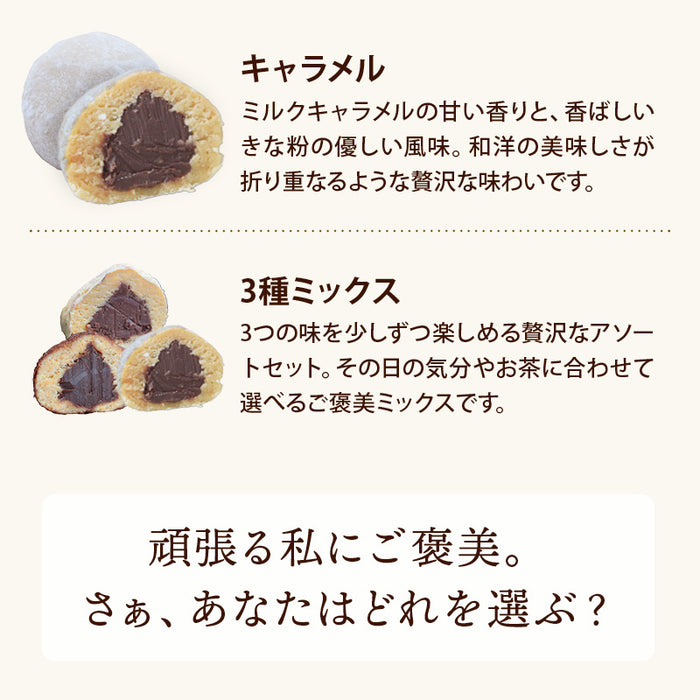 前田家 きなこショコラ 選べるフレーバー プレーン ココア キャラメル ミックス きな粉 菓子 グルテンフリー 和風 チョコレート きなこ スイーツ お菓子 おやつ チョコ メール便 送料無料 MAEDAYA