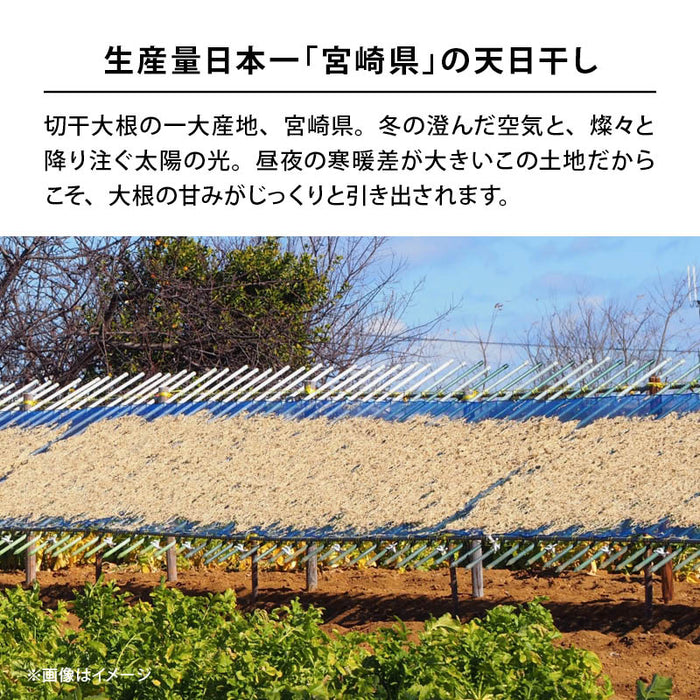 前田家 宮崎県産 切り干し大根 160g 無添加 国産 千切り大根 切干大根 きりぼし大根 千切大根 切り干大根 大根 だいこん ダイコン 干し大根 乾燥大根 乾燥 大容量 業務用 メール便 送料無料 MAEDAYA