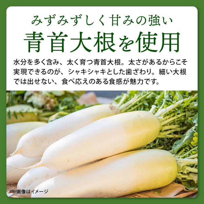 前田家 宮崎県産 切り干し大根 160g 無添加 国産 千切り大根 切干大根 きりぼし大根 千切大根 切り干大根 大根 だいこん ダイコン 干し大根 乾燥大根 乾燥 大容量 業務用 メール便 送料無料 MAEDAYA