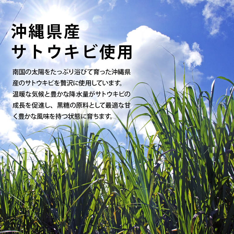 沖縄 手作り 黒糖 800g 無添加 黒砂糖 沖縄産 サトウキビ 沖縄県産 自然食品 風味豊か ビタミン ミネラル スイーツ 健康食品 茶菓子 宅飲み