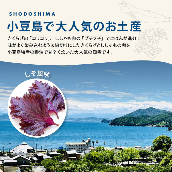 前田家 子持ちきくらげ佃煮 小豆島産醤油 しそ風味 500g 小豆島名産品 ししゃもの卵 京宝亭 食いしん坊 ご飯のお供 朝食 つまみ サラダ 料理 惣菜 レシピ お取り寄せ チャック袋 家庭用 メール便 送料無料 MAEDAYA