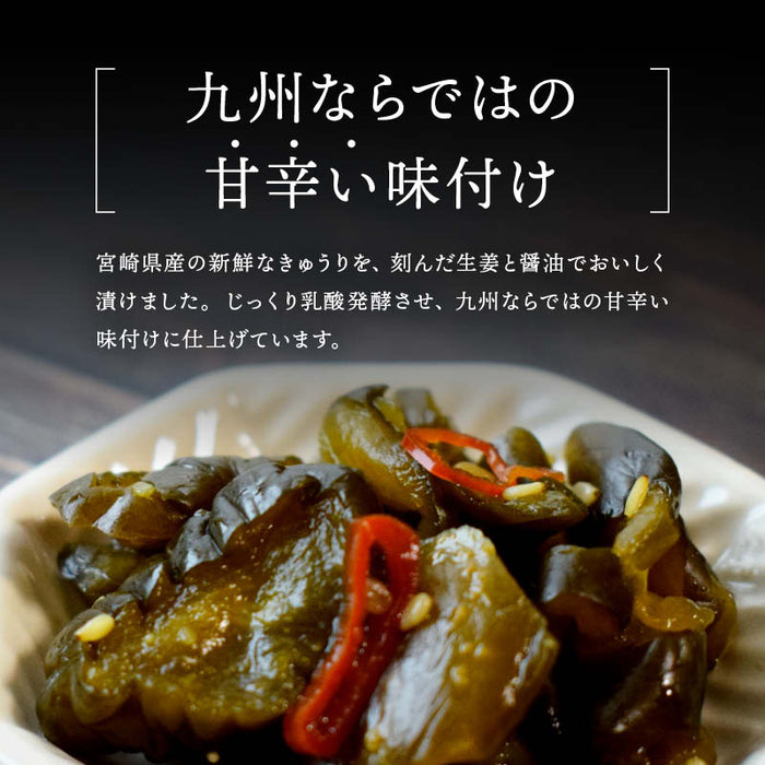 上沖産業 無添加 きゅうり醤油漬 九州しょうゆ仕立て ピリ辛 甘辛醤油 生姜 唐辛子 国産 宮崎県産 漬物 乳酸発酵 熟成 漬け物 ご飯のお供 おかず おつまみ 朝食 お茶漬け 低カロリー 小袋 一人暮らし 家庭用 メール便 送料無料 MAEDAYA