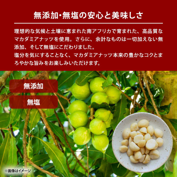 前田家 素焼きマカダミアナッツ 無塩 無添加 南アフリカ産 80g/200g/300g 素焼き ナッツ マカダミア マカダミアナッツ おやつ おつまみ メール便 1000円ポッキリ 送料無料 MAEDAYA