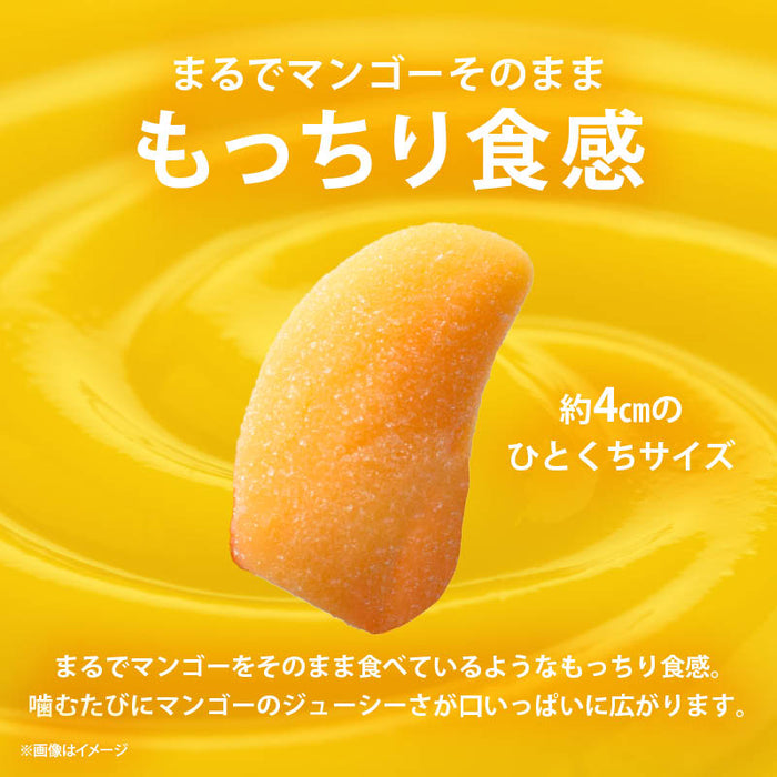 ハーバライフ健康セット(マンゴーx1&バナナx1&チョコレートx1&PPPx2) ハーバライフ健康セット(マンゴーx1&バナナx1&チョコレート