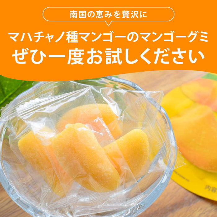 摘果マンゴー　21kg+α 定期便】【魔法のTANSA409 マンゴー1000ml】