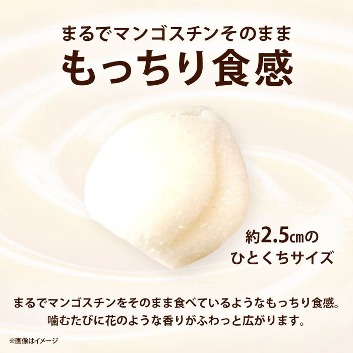 カンナ マンゴスチングミ 1袋/2袋/3袋 1袋100g タイ ゼラチンフリー マンゴスティン グミ ソフトグミ コラーゲン 果汁 KUNNA 前田家 1000円ポッキリ 送料無料 メール便 MAEDAYA