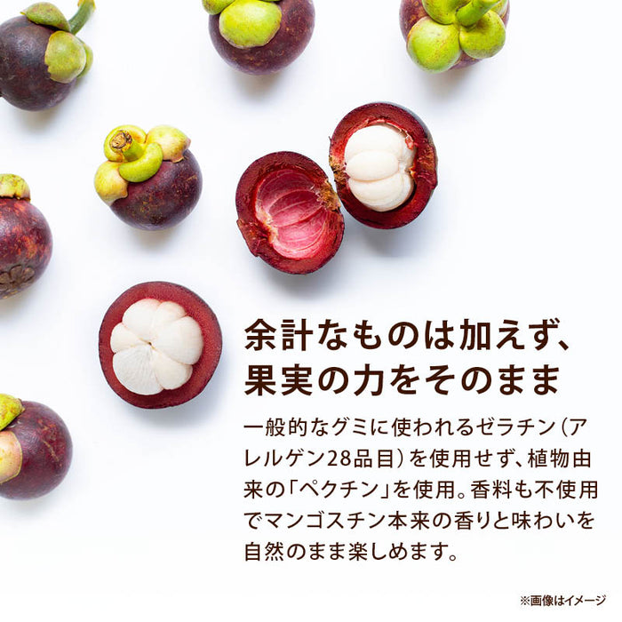 カンナ マンゴスチングミ 1袋/2袋/3袋 1袋100g タイ ゼラチンフリー マンゴスティン グミ ソフトグミ コラーゲン 果汁 KUNNA 前田家 1000円ポッキリ 送料無料 メール便 MAEDAYA