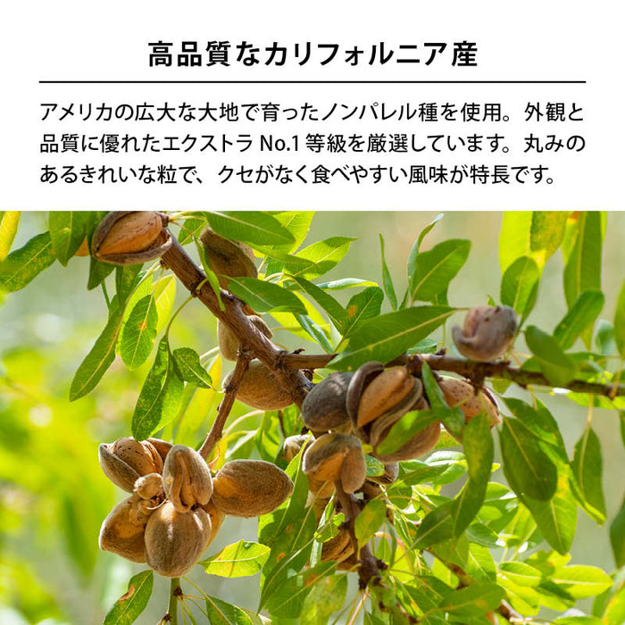 前田家 生アーモンド 170g/460g/760g 無塩 無油 無添加 ローストなし カリフォルニア ノンパレル種 アーモンド ナッツ 健康 美容 製菓材料 アーモンドミルク メール便 送料無料 MAEDAYA