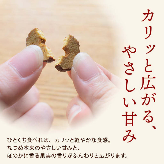 前田家 棗 なつめ チップス 100g/200g/300g 無添加 ノンフライ 砂糖不使用 美容 健康 灰棗 棗チップス なつめチップス スライス チップ おやつ ドライフルーツ メール便 送料無料 MAEDAYA