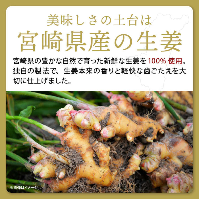 上沖産業 おかか生姜 120g 2袋/3袋/5袋 宮崎県産 国産 漬け物 漬物 セット 生姜 しょうが ごはんのお供 おにぎり 常温 つけもの ガリ 枕崎産 鰹節 利尻産  昆布 だし おつまみ 前田家 送料無料