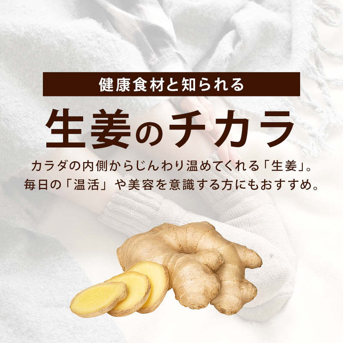 上沖産業 おかか生姜 120g 2袋/3袋/5袋 宮崎県産 国産 漬け物 漬物 セット 生姜 しょうが ごはんのお供 おにぎり 常温 つけもの ガリ 枕崎産 鰹節 利尻産  昆布 だし おつまみ 前田家 送料無料