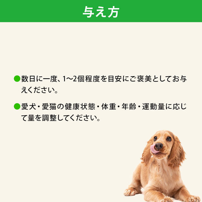 前田家 犬 猫 無添加 ドライフルーツ ペット用 デーツ クコの実 なつめ 1袋/3袋/5袋 添加物不使用 お試し セット ダイス ドライ なつめスライス 犬用 猫用 ドッグフード おやつ シニア メール便 送料無料