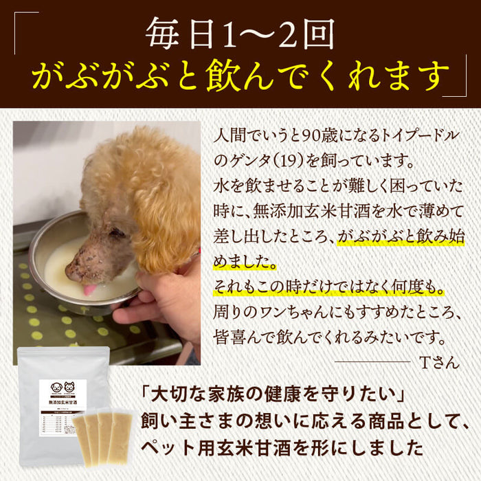 前田家 犬 猫 ペット用 無添加 玄米甘酒 10包/20包/30包 (1包30g) 個包装 国産 犬用 猫用 水分補給 甘酒 ノンアルコール 米麹 栄養補給 シニア メール便 送料無料 MAEDAYA