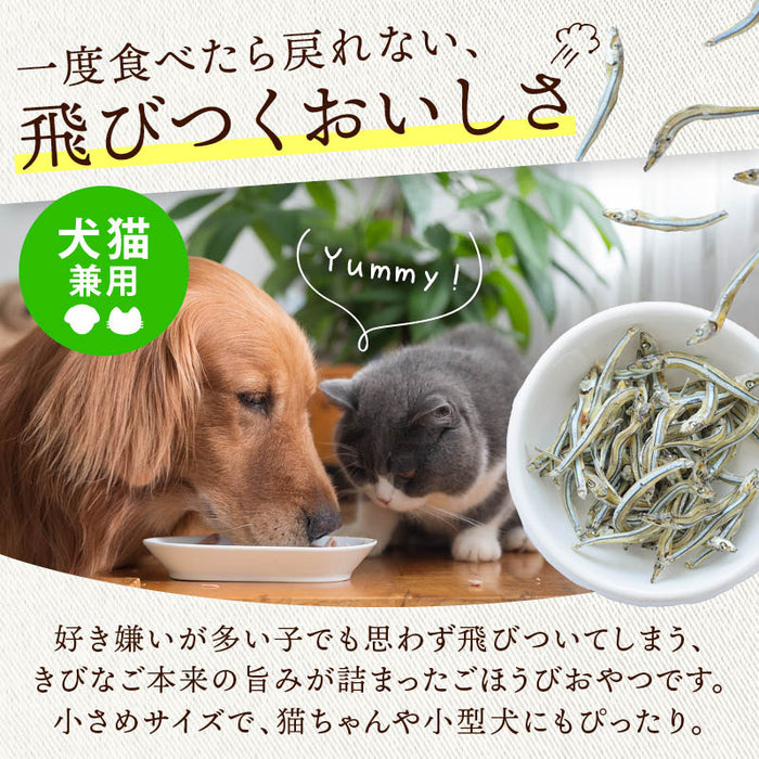 前田家 犬 猫 専用 無添加 国産きびなご 食塩不使用 120g/200g ドッグフード キャットフード 長崎県産 無着色 猫用 犬用 おやつ 猫用おやつ 犬用おやつ 小型犬 シニア 魚 1000円ポッキリ 送料無料