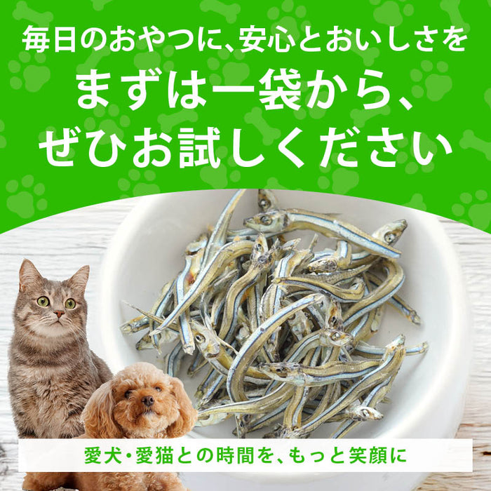 前田家 犬 猫 専用 無添加 国産きびなご 食塩不使用 120g/200g ドッグフード キャットフード 長崎県産 無着色 猫用 犬用 おやつ 猫用おやつ 犬用おやつ 小型犬 シニア 魚 1000円ポッキリ 送料無料