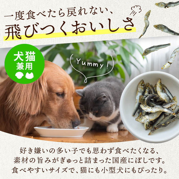 前田家 犬 猫 専用 国産にぼし 食塩不使用 150g 長崎県産 煮干し いぬ ねこ 兼用 にぼし 無着色 猫用 犬用 おやつ 猫用おやつ 犬用おやつ 小型犬 シニア 魚 ペット用 1000円ポッキリ 送料無料