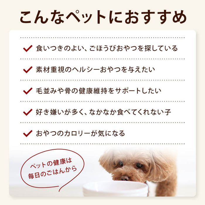 前田家 犬 猫 専用 国産にぼし 食塩不使用 150g 長崎県産 煮干し いぬ ねこ 兼用 にぼし 無着色 猫用 犬用 おやつ 猫用おやつ 犬用おやつ 小型犬 シニア 魚 ペット用 1000円ポッキリ 送料無料