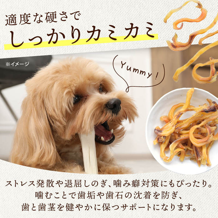 前田家 国産 豚耳 スライス 細切り 約5mm幅 70g/160g 無添加 無着色 犬用 犬 豚耳 国産 犬用おやつ おやつ ガム デンタルケア ドッグフード 1000円ポッキリ 送料無料 MAEDAYA