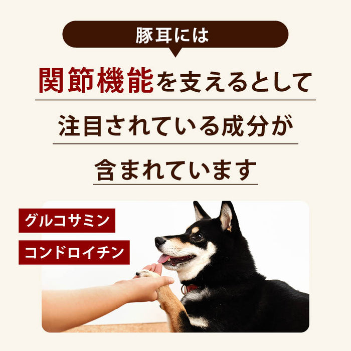 前田家 国産 豚耳 スライス 細切り 約5mm幅 70g/160g 無添加 無着色 犬用 犬 豚耳 国産 犬用おやつ おやつ ガム デンタルケア ドッグフード 1000円ポッキリ 送料無料 MAEDAYA