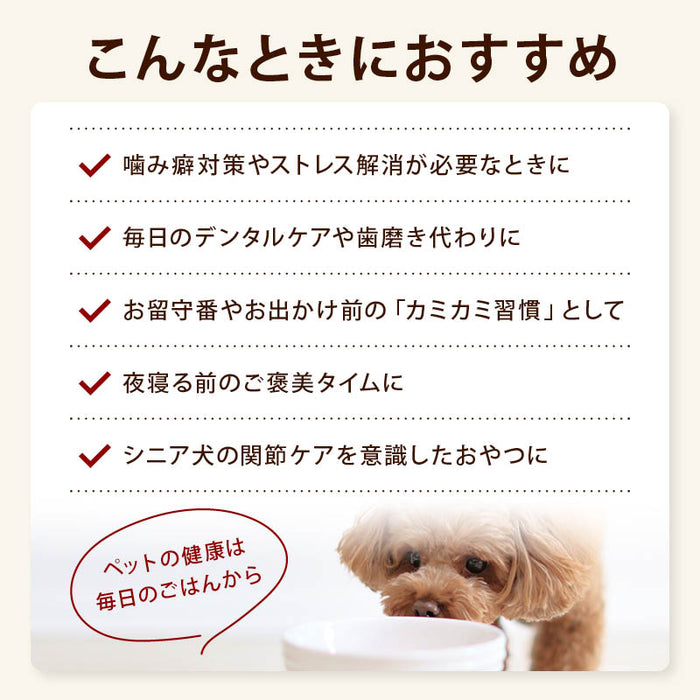 前田家 国産 豚耳 スライス 細切り 約5mm幅 70g/160g 無添加 無着色 犬用 犬 豚耳 国産 犬用おやつ おやつ ガム デンタルケア ドッグフード 1000円ポッキリ 送料無料 MAEDAYA