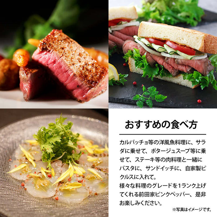 ピンクペッパー ホール 50g/100g マダガスカル産 希少 最高品質 無農薬 無化学肥料 胡椒 スパイス ハーブ 香辛料 ステーキ パスタ お徳用 家庭用 業務用