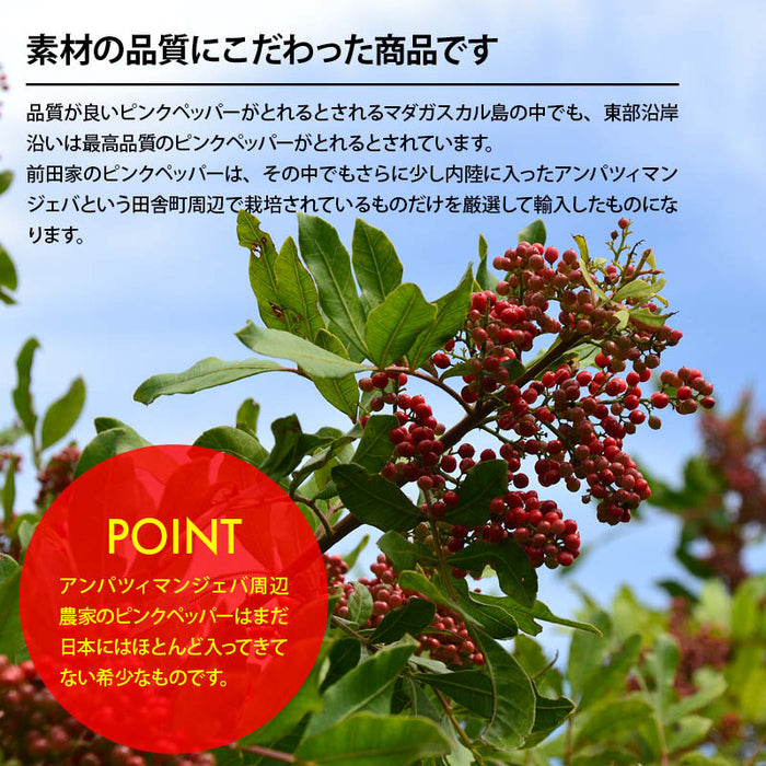 ピンクペッパー ホール 50g/100g マダガスカル産 希少 最高品質 無農薬 無化学肥料 胡椒 スパイス ハーブ 香辛料 ステーキ パスタ お徳用 家庭用 業務用