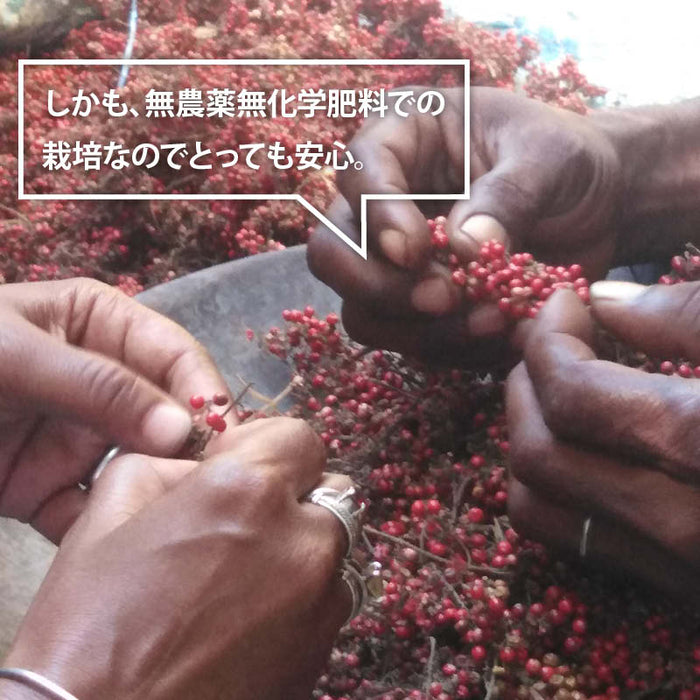 ピンクペッパー ホール 50g/100g マダガスカル産 希少 最高品質 無農薬 無化学肥料 胡椒 スパイス ハーブ 香辛料 ステーキ パスタ お徳用 家庭用 業務用