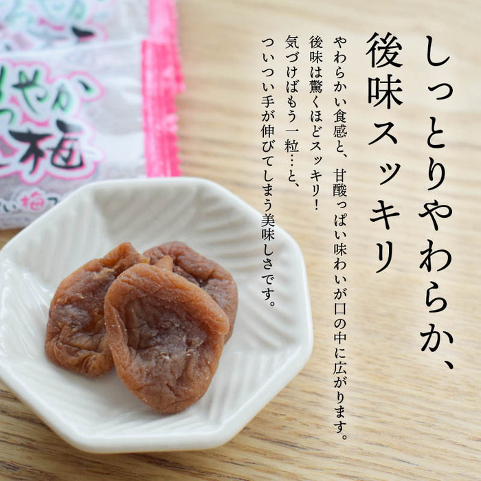 前田家 さわやかほし梅 種なし 個包装 しっかり塩味 梅干 うめぼし 干し梅 お茶うけ おやつ おつまみ お菓子 現場 作業 夏バテ防止 熱中症 塩分 補給 大容量 業務用 メール便 送料無料 MAEDAYA