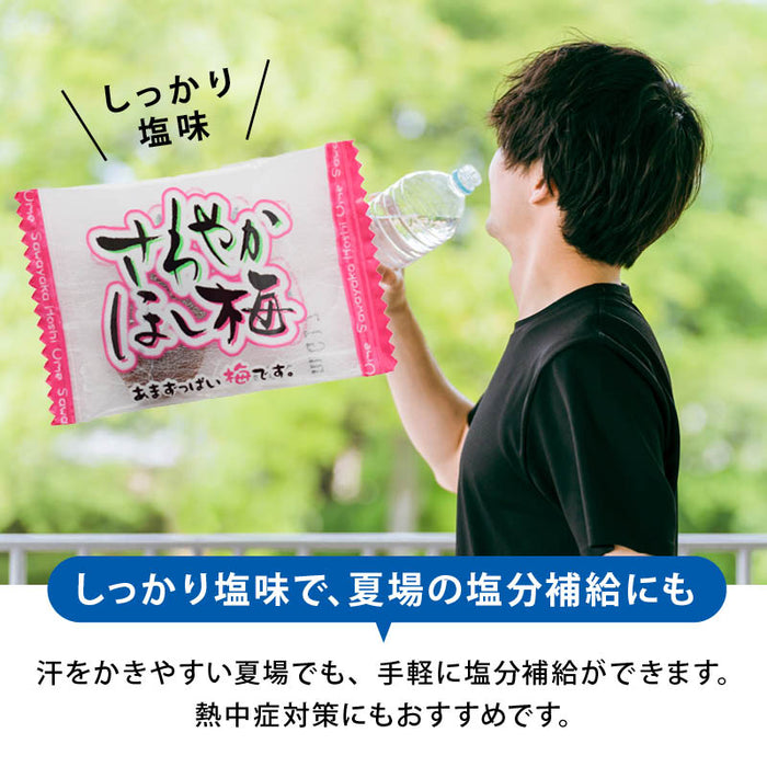 前田家 さわやかほし梅 種なし 個包装 しっかり塩味 梅干 うめぼし 干し梅 お茶うけ おやつ おつまみ お菓子 現場 作業 夏バテ防止 熱中症 塩分 補給 大容量 業務用 メール便 送料無料 MAEDAYA