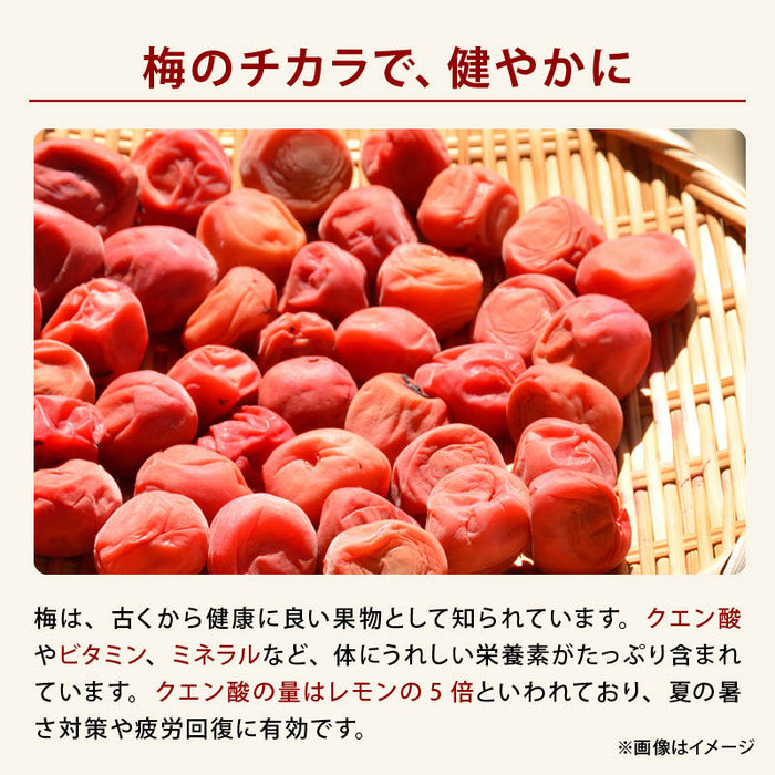 前田家 さわやかほし梅 種なし 個包装 しっかり塩味 梅干 うめぼし 干し梅 お茶うけ おやつ おつまみ お菓子 現場 作業 夏バテ防止 熱中症 塩分 補給 大容量 業務用 メール便 送料無料 MAEDAYA