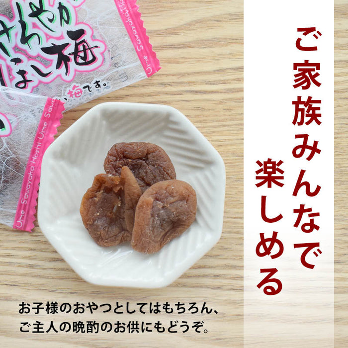 前田家 さわやかほし梅 種なし 個包装 しっかり塩味 梅干 うめぼし 干し梅 お茶うけ おやつ おつまみ お菓子 現場 作業 夏バテ防止 熱中症 塩分 補給 大容量 業務用 メール便 送料無料 MAEDAYA