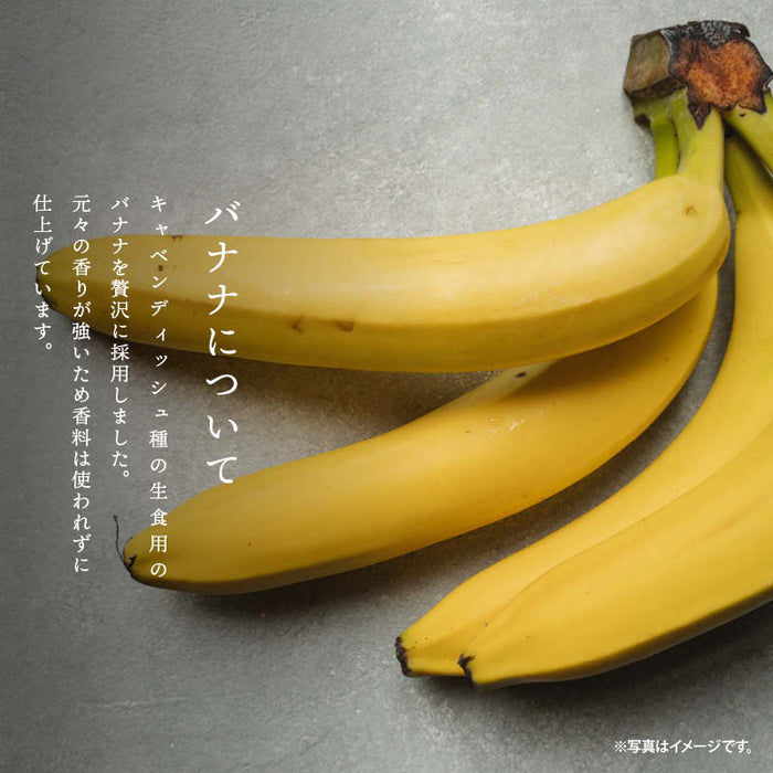 塩バナナチップ 250g ドライバナナ 薄塩味 うすしお ドライフルーツ ばなな シリアル ヨーグルト おやつ 食物繊維 果物 家庭用 業務用