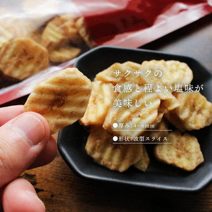 塩バナナチップ 250g ドライバナナ 薄塩味 うすしお ドライフルーツ ばなな シリアル ヨーグルト おやつ 食物繊維 果物 家庭用 業務用