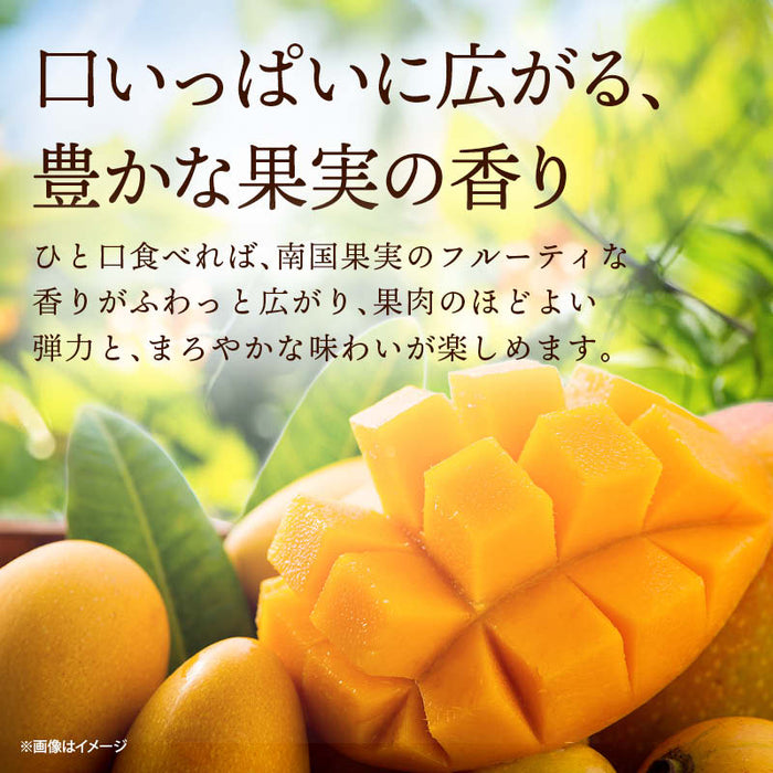 前田家 ソフト ドライマンゴー 180g/350g/550g 着色料不使用 マンゴー ドライ ソフトドライマンゴー スライス 無着色 ヨーグルト おやつ ドライフルーツ メール便 送料無料 MAEDAYA