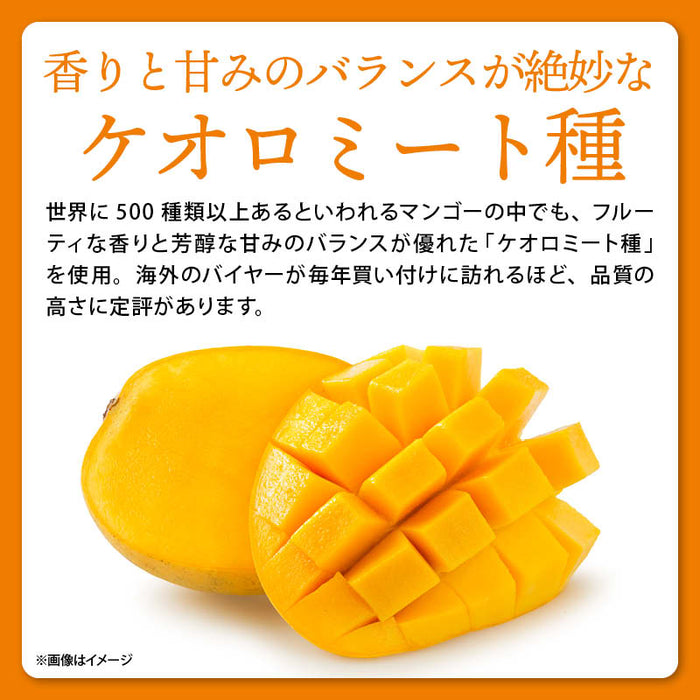 前田家 ソフト ドライマンゴー 180g/350g/550g 着色料不使用 マンゴー ドライ ソフトドライマンゴー スライス 無着色 ヨーグルト おやつ ドライフルーツ メール便 送料無料 MAEDAYA