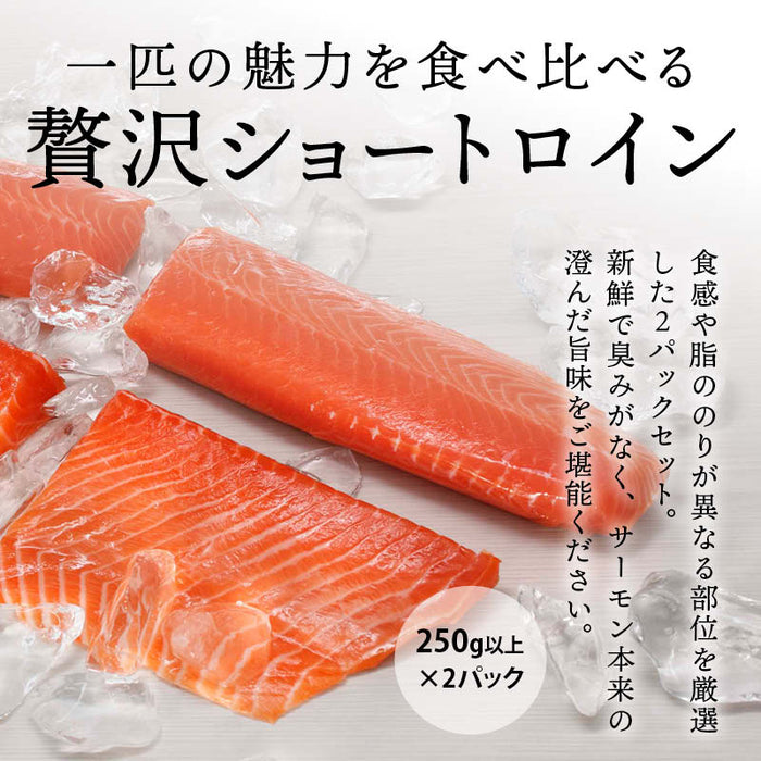 前田家 タスマニア サーモン 刺身 ショートロイン/ポーションカット 冷凍 柵 小分け 刺身用 生食用 タスマニアサーモン アトランティックサーモン 骨取り お取り寄せ グルメ ギフト 贈答 送料無料 Cocotto