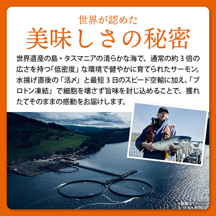 前田家 タスマニア サーモン 選べる 贅沢グルメセット 冷凍 刺身 スモークスライス 土佐造り 輪切りステーキ タスマニアサーモン アトランティックサーモン お取り寄せ ギフト 贈答 お中元 お歳暮 プレゼント 送料無料