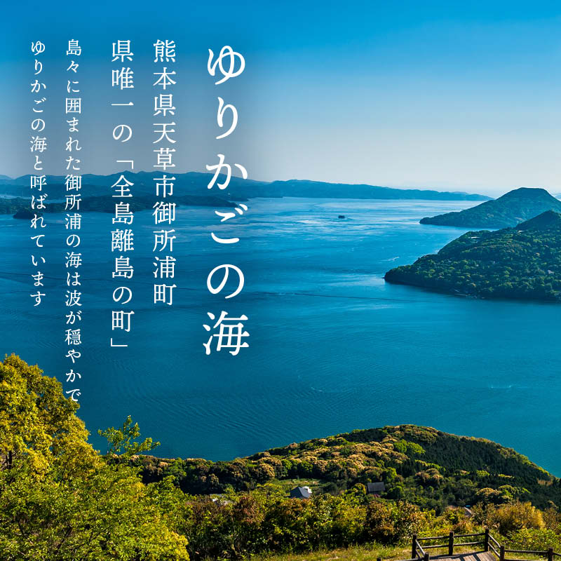 だし 国産 ゆりかごの海の鯛骨だし (100g/袋) 粉末 無塩 無香料 無着色 真鯛 カルシウム 鯛めし 茶碗蒸し 離乳食 お取り寄せ