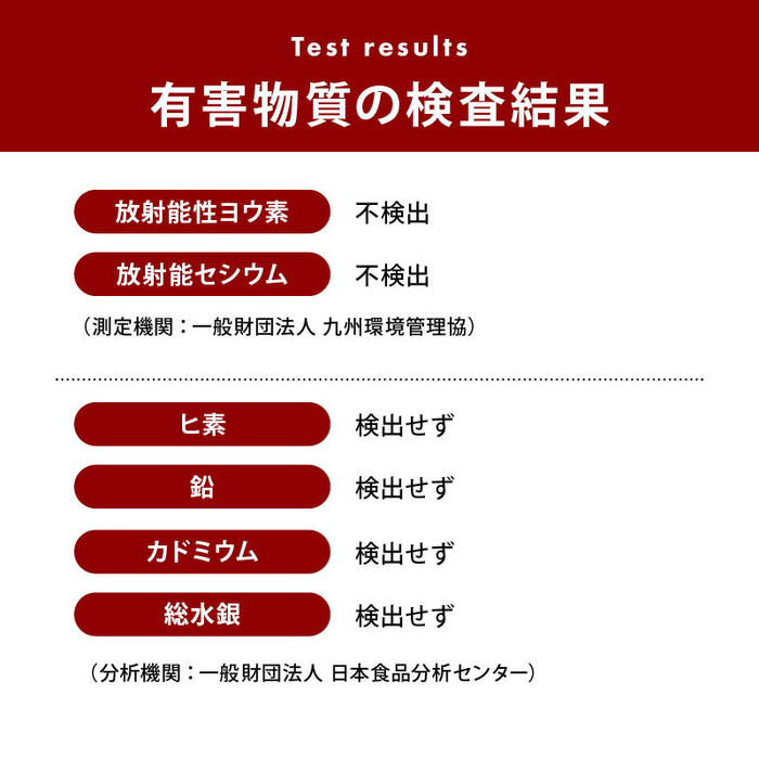 前田家 国産 竹炭パウダー 微粒 無味 無臭 食用 高品質 デトックス チャコールダイエット サポート ミネラル 竹炭 炭 パウダー お菓子作り 製菓 メール便 送料無料 MAEDAYA Rich Life