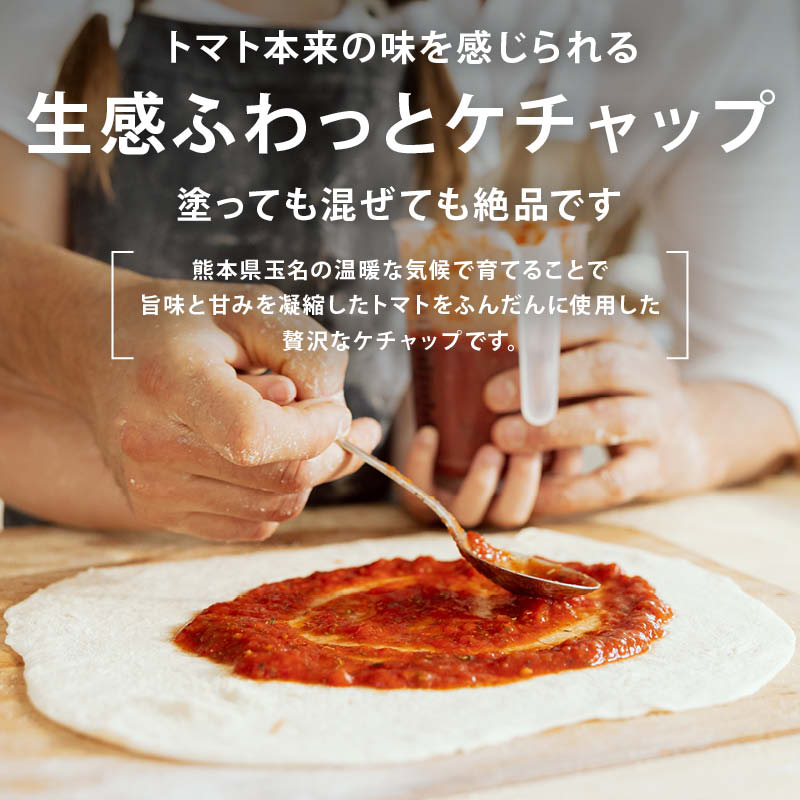 無添加 トマトケチャップ パウチ 減塩 保存料不使用 熊本県産 国産 九州産 甘味 スパイス トマト パスタ ナポリタン
