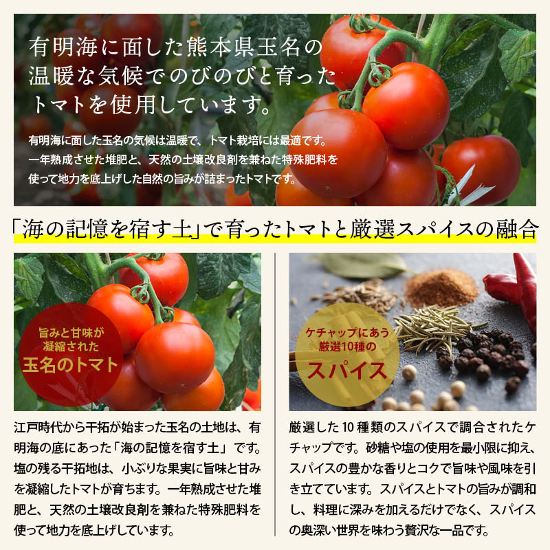 無添加 トマトケチャップ パウチ 減塩 保存料不使用 熊本県産 国産 九州産 甘味 スパイス トマト パスタ ナポリタン