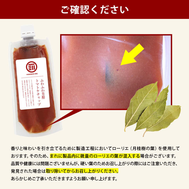 無添加 トマトケチャップ パウチ 減塩 保存料不使用 熊本県産 国産 九州産 甘味 スパイス トマト パスタ ナポリタン