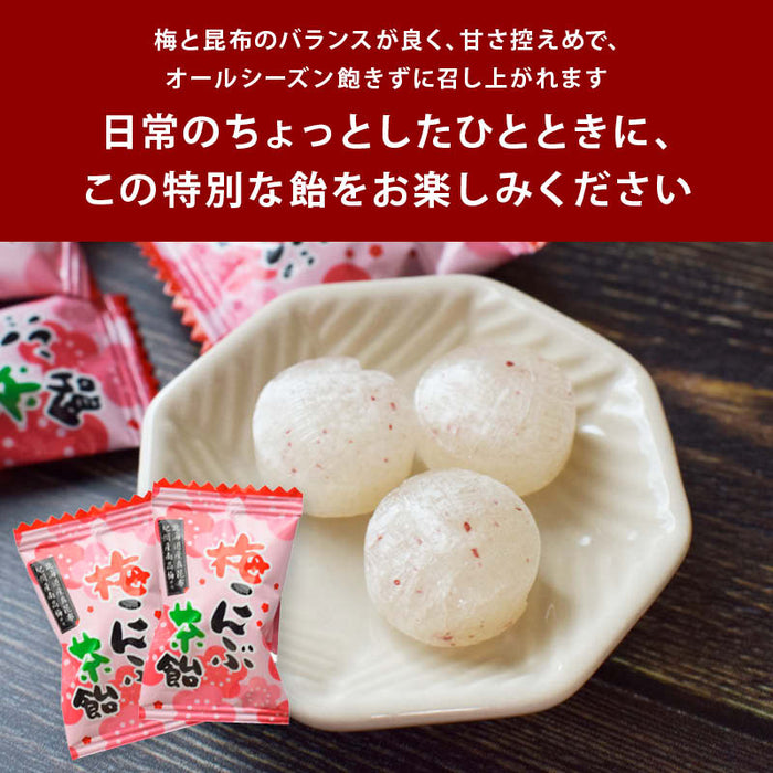 Maeda Family Domestic Ume Kombu Tea Candy, Lightly Sweet, Individually Wrapped, Made with Kishu Nanko Ume and Hokkaido Makombu, Citric Acid, Alginic Acid, Minerals, Salt Replenishment, Heatstroke, Sports