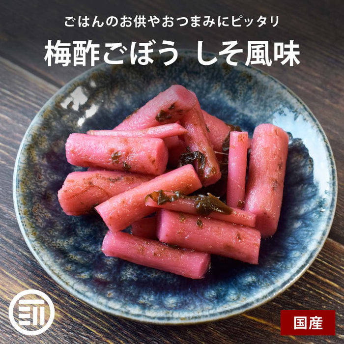 前田家 国産 梅酢ごぼう しそ風味 赤梅酢 梅酢 シャキシャキ食感 若ごぼう 早掘りごぼう 和歌山県産 梅 乳酸発酵 ご飯のお供 おかず おつまみ 朝食 ヘルシー 低カロリー 食物繊維 小袋 一人暮らし 家庭用 メール便 送料無料 MAEDAYA