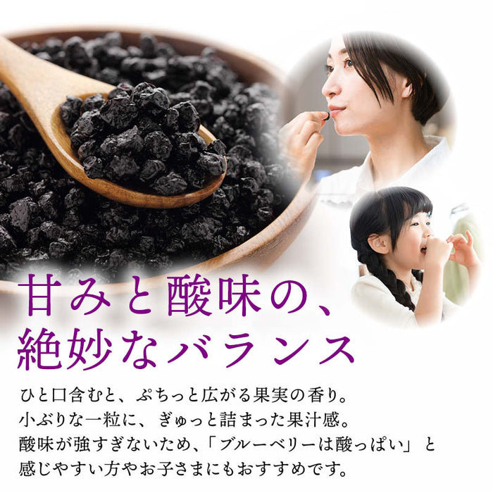 前田家 ワイルドブルーベリー 65g/120g/200g アメリカ産 ブルーベリー ドライフルーツ ドライブルーベリー アントシアニン 野生種 ドライ 朝食 ヨーグルト 小粒 メール便 送料無料 MAEDAYA