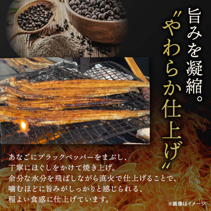 前田家 ブラックペッパー 焼きあなご 60g/110g/170g 直火焼き スパイシー おつまみ 珍味 ビール 家飲み 焼き穴子 焼きアナゴ あなごロール 穴子ロール 穴子 あなご メール便 送料無料 MAEDAYA