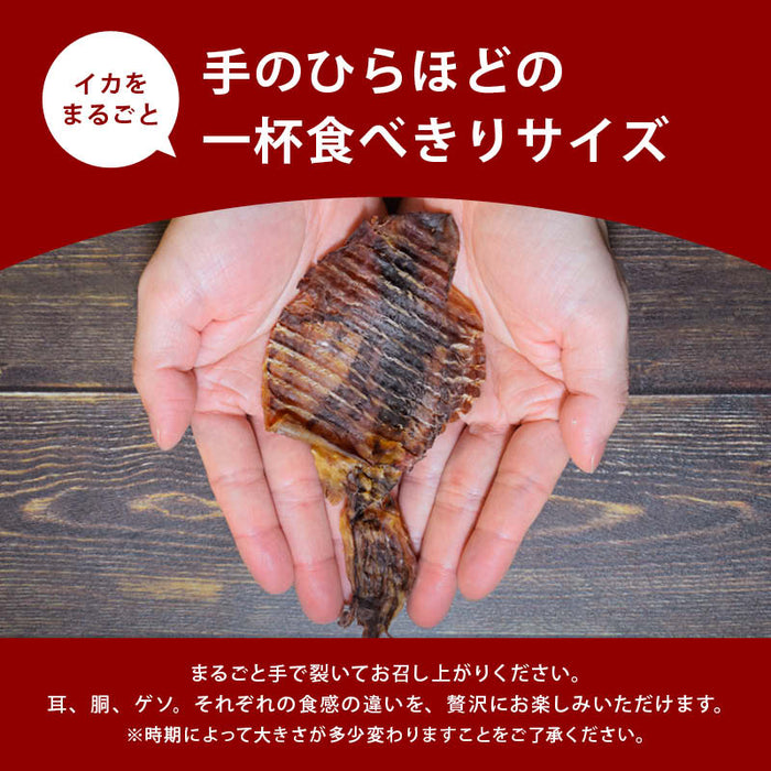 前田家 直火焼きするめ 塩味 切れ目入り まるごと 手のひらサイズ おつまみ お酒のお供 ビール 肴 つまみ 直火 イカ 烏賊 スルメ