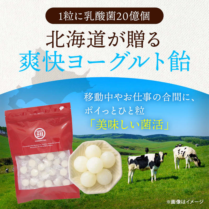 前田家 北海道 ヨーグルト飴 140g/300g/450g 個包装 乳酸菌 20億個 ヨーグルト 北海道産 キャンディ あめ 飴 健康 お菓子 おやつ 子供 菌活 プチギフト 大容量 メール便 送料無料 MAEDAYA