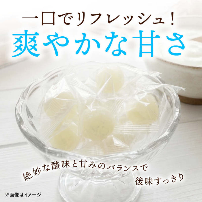 前田家 北海道 ヨーグルト飴 140g/300g/450g 個包装 乳酸菌 20億個 ヨーグルト 北海道産 キャンディ あめ 飴 健康 お菓子 おやつ 子供 菌活 プチギフト 大容量 メール便 送料無料 MAEDAYA
